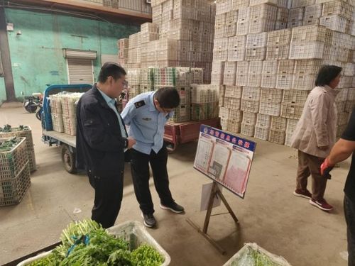 強化源頭管控，守護百姓餐桌——萊陽市開展農(nóng)產(chǎn)品批發(fā)市場專項監(jiān)督檢查