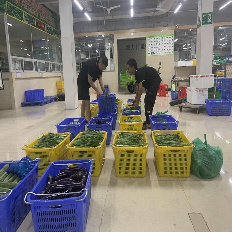 從田間到餐桌的綠色橋梁 探尋坑梓蔬菜配送與大型種植基地的產(chǎn)業(yè)脈動